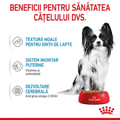 Beneficii pentru sănătatea cățelului: textură moale pentru dinți de lapte, sistem imunitar puternic (vitamine și antioxidanți), dezvoltare cerebrală (acid gras omega-3 DHA). Royal Canin.