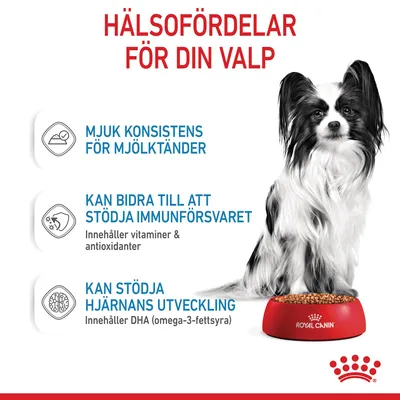 Hälsofördelar för din valp: mjuk konsistens för mjölktänder, kan bidra till att stödja immunförsvaret (vitaminer och antioxidanter), kan stödja hjärnans utveckling (DHA). Royal Canin.