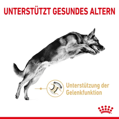 Tukee tervettä ikääntymistä. Tukee nivelten toimintaa. Kuva hyppäävästä koirasta ja Royal Canin -logo.