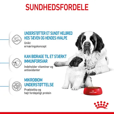 Sundhedsfordele: Understøtter et sundt helbred hos tæven og hendes hvalpe, kan bidrage til stærkt immunforsvar, mikrobiom understøttelse. Royal Canin skål vises.