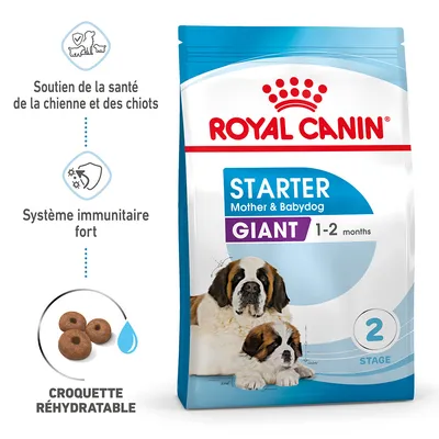 Royal Canin Starter Mother & Babydog Giant 1–2 months, soutien de la santé de la chienne et des chiots, système immunitaire fort, croquette réhydratable, sac avec deux chiens illustrés.