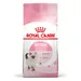 Royal Canin Kitten pour chaton