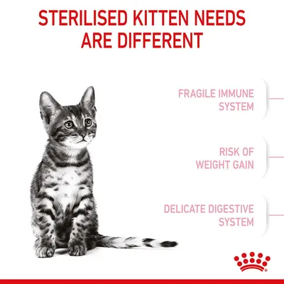 Text på engelska: 'Sterilised kitten needs are different. Fragile immune system. Risk of weight gain. Delicate digestive system.' Bild på kattunge och Royal Canin-symbol.