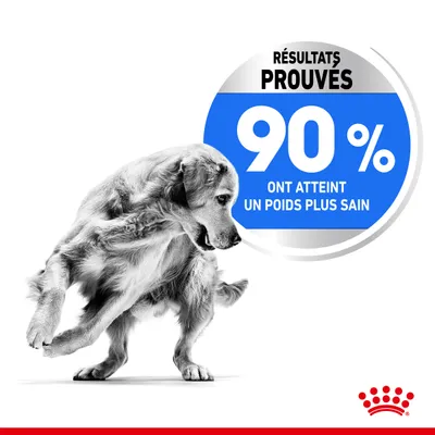 Texte dans l’image : Résultats prouvés, 90 % ont atteint un poids plus sain. Logo Royal Canin visible en bas à droite.