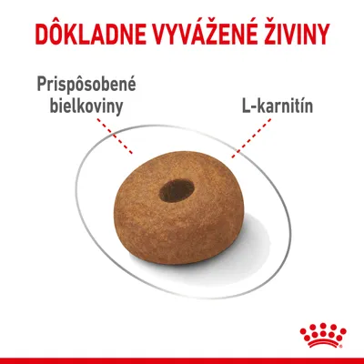 Dôkladne vyvážené živiny. Prispôsobené bielkoviny, L-karnitín. Zobrazená granula s označením zloženia. Royal Canin.