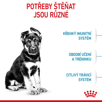 Text: Potřeby štěňat jsou různé. Křehký imunitní systém, období učení a tréninku, citlivý trávicí systém. Značka Royal Canin.