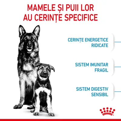 Mamele și puii lor au cerințe specifice: cerințe energetice ridicate, sistem imunitar fragil, sistem digestiv sensibil. Logo Royal Canin în colțul din dreapta jos.