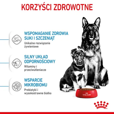 Korzyści zdrowotne: wspomaganie zdrowia suki i szczeniąt, silny układ odpornościowy, wsparcie mikrobiomu. Miska Royal Canin przed psem.
