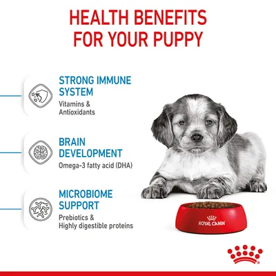 Health benefits for your puppy: strong immune system with vitamins and antioxidants, brain development with omega-3 fatty acid (DHA), microbiome support with prebiotics and digestible proteins.