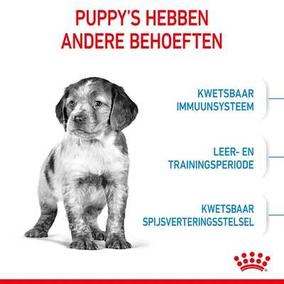 Puppy's hebben andere behoeften: kwetsbaar immuunsysteem, leer- en trainingsperiode, kwetsbaar spijsverteringsstelsel. Royal Canin kroon onderaan zichtbaar.
