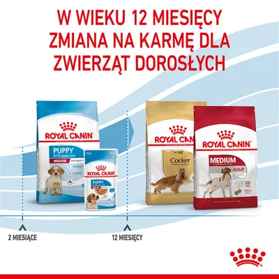 Royal Canin: w wieku 12 miesięcy zmiana z karmy Puppy (2–12 miesięcy) na karmę Adult. Widoczne opakowania: Puppy Medium, Puppy puszka, Adult Cocker, Medium Adult.