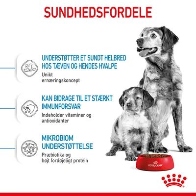 SUNDHEDSFORDELE: Understøtter et sundt helbred hos tæven og hendes hvalpe. Kan bidrage til et stærkt immunforsvar. Mikrobiom understøttelse. Royal Canin skål foran hund og hvalp.