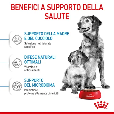 Benefici a supporto della salute: supporto della madre e del cucciolo, difese naturali ottimali, supporto del microbioma. Royal Canin. Testo in italiano.
