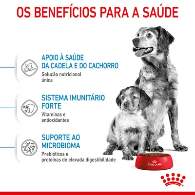 Texto: Os benefícios para a saúde. Apoio à saúde da cadela e do cachorro, sistema imunitário forte, suporte ao microbioma. Royal Canin. Imagem de dois cães junto a uma taça vermelha.