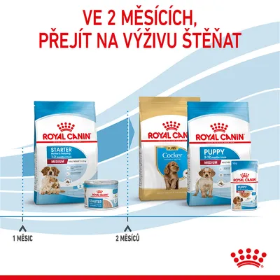 Doporučení: ve 2 měsících přejít na výživu štěňat. Produkty Royal Canin Starter pro 1 měsíc, od 2 měsíců Royal Canin Puppy a Cocker Puppy. Text: 1 měsíc, 2 měsíců.