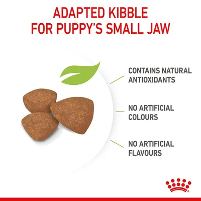 Adapted kibble for small jaws. Contains natural antioxidants, no artificial colours, and no artificial flavours.