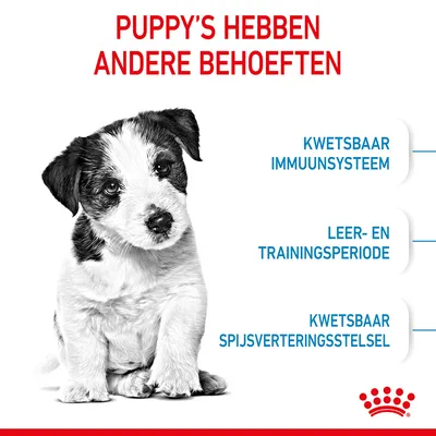 Puppy's hebben andere behoeften: kwetsbaar immuunsysteem, leer- en trainingsperiode, kwetsbaar spijsverteringsstelsel. Royal Canin merk zichtbaar onderaan.