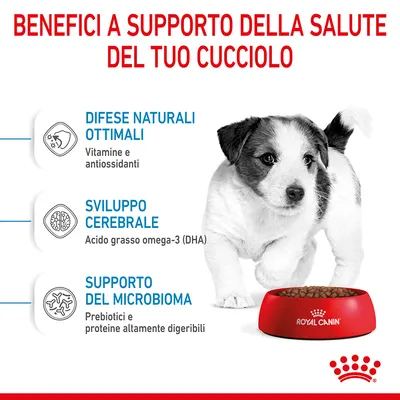 Benefici per la salute del cucciolo: difese naturali ottimali (vitamine e antiossidanti), sviluppo cerebrale (acido grasso omega-3 DHA), supporto del microbioma (prebiotici, proteine digeribili).