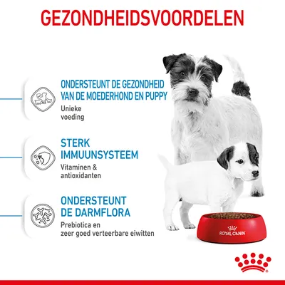 Gezondheidsvoordelen: ondersteunt de gezondheid van de moederhond en puppy, sterk immuunsysteem, ondersteunt de darmflora. Royal Canin voerbak met hondenbrokken zichtbaar.