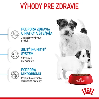 Výhody pre zdravie: podpora zdravia u matky a šteňaťa, silný imunitný systém, podpora mikrobiómu. Royal Canin miska s krmivom, pes a mačka vedľa misky.