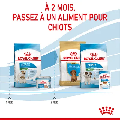 À 2 mois, passez à un aliment pour chiots. Royal Canin Starter 1–2 mois, puis Royal Canin Puppy Dachshund et Mini 2–10 mois. Sacs et boîtes visibles.