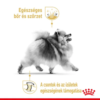 Egészséges bőr és szőrzet. A csontok és az ízületek egészségének támogatása. Royal Canin márkajelzés látható, középen pomerániai kutya képe.