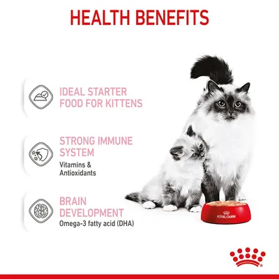 Text på engelska: Health Benefits. Ideal starter food for kittens. Strong immune system – Vitamins & Antioxidants. Brain development – Omega-3 fatty acid (DHA). Royal Canin syns.