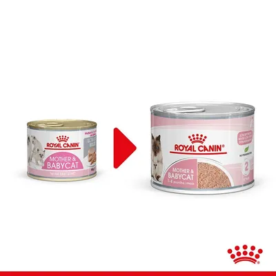 Две консерви Royal Canin Mother & Babycat, стара и нова опаковка. Видими са котки и текст: 1st Age Easy Start, 1–4 months/mois, ULTRA SOFT MOUSSE, NO PRESERVATIVES.