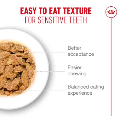 Royal Canin Ageing 11+ Chunks in Jelly