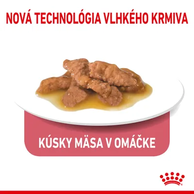 Nová technológia vlhkého krmiva. Kúsky mäsa v omáčke na tanieri.