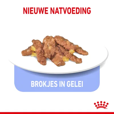 Nieuwe natvoeding, brokjes in gelei op een wit bord. Tekst: BROKJES IN GELEI. Rood kroontje onderaan rechts zichtbaar.