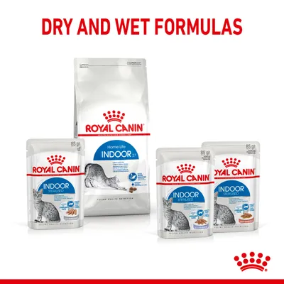 Royal Canin Indoor torrfoder och våtfoder för steriliserade innekatter, synliga förpackningar med kattbild och texten 'Home Life Indoor 27', '85 g' samt varumärket Royal Canin.