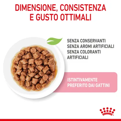 Dimensione, consistenza e gusto ottimali. Senza conservanti, senza aromi artificiali, senza coloranti artificiali. Istintivamente preferito dai gattini.
