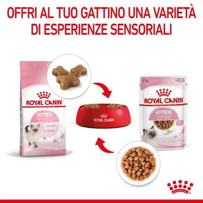Royal Canin Kitten fino a 12 mesi: confezione di crocchette, ciotola rossa con cibo, bustina da 85 g e ciotola con bocconcini. Testo: Offri al tuo gattino una varietà di esperienze sensoriali.