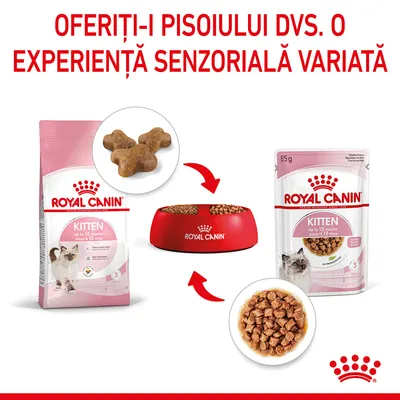 Royal Canin Kitten până la 12 luni, hrană uscată și umedă pentru pisoi, pachet 85 g și pungă mare, bol roșu cu logo Royal Canin, text: Oferiți-i pisoiului dvs. o experiență senzorială variată
