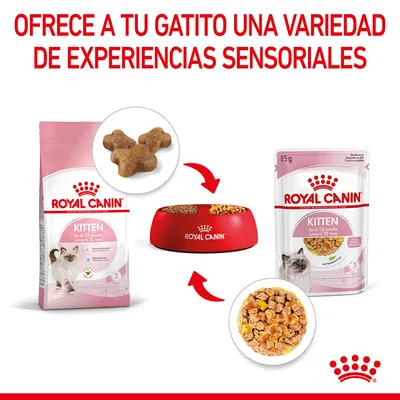 Royal Canin Kitten para gatos hasta 12 meses: saco de pienso, sobre de comida húmeda y cuenco rojo con ambos alimentos. Texto: Ofrece a tu gatito una variedad de experiencias sensoriales.