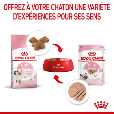 Royal Canin Kitten croquettes et sachet fraîcheur 85 g, pour chatons jusqu’à 12 mois, présentés avec gamelle rouge Royal Canin et aliments visibles. Texte : Offrez à votre chaton une variété d’expériences pour ses sens.