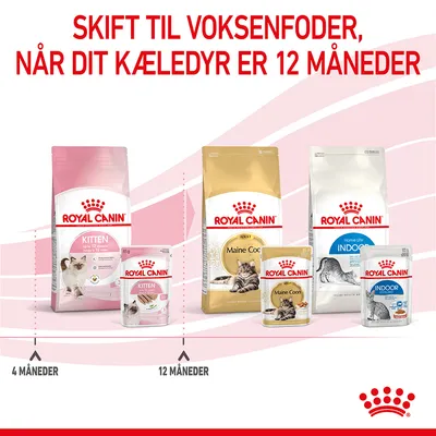 Royal Canin kattefoder til killinger og voksne. Tekst: Skift til voksenfoder, når dit kæledyr er 12 måneder. Produkter: Kitten, Maine Coon Adult, Indoor. Markering ved 4 og 12 måneder.