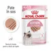 Royal Canin Kitten Mousse