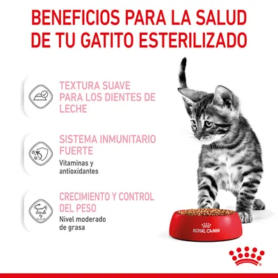 Beneficios para gatito esterilizado: textura suave para dientes de leche, sistema inmunitario fuerte con vitaminas y antioxidantes, crecimiento y control del peso, Royal Canin.