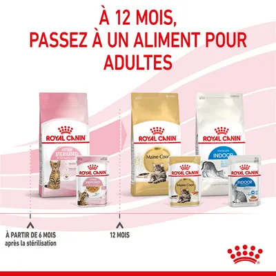 Royal Canin Kitten Sterilised 6–12 mois, Maine Coon Adult et Indoor Adult. Texte : À 12 mois, passez à un aliment pour adultes. À partir de 6 mois après la stérilisation.