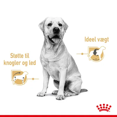 Hund med tekst: 'Støtte til knogler og led' og 'Ideel vægt'. Grafiske ikoner viser støtte til led samt vægtkontrol. Nederst ses Royal Canin-navnens karakteristiske krone.