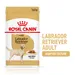 Royal Canin Labrador Retriever Adult in Gravy
