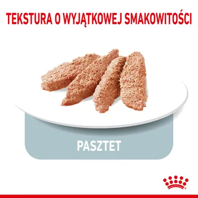 Tekstura o wyjątkowej smakowitości. Pasztet – widoczne kawałki na talerzu, Royal Canin.