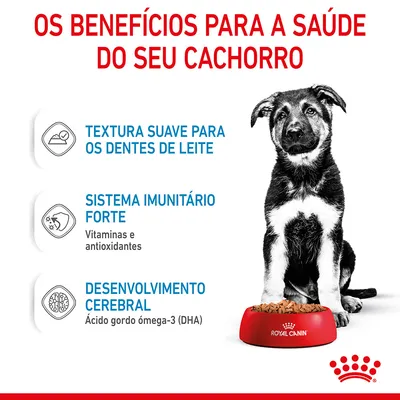 Os benefícios para a saúde do seu cachorro: textura suave para os dentes de leite, sistema imunitário forte com vitaminas e antioxidantes, desenvolvimento cerebral com ómega-3 (DHA).