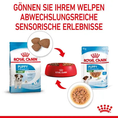 ROYAL CANIN Puppy Mini 2–10 mois, croquettes et sachet 85 g pour chiot, gamelle rouge remplie, texte en allemand : GÖNNEN SIE IHREM WELPEN ABWECHSLUNGSREICHE SENSORISCHE ERLEBNISSE.