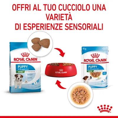 Royal Canin Puppy Mini 2–10 mesi: confezione di crocchette, ciotola con cibo, bustina da 85 g e alimento umido. Testo: Offri al tuo cucciolo una varietà di esperienze sensoriali.