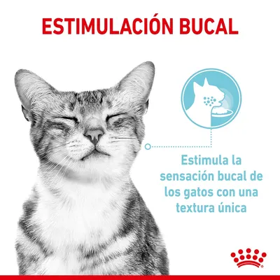 Texto: ESTIMULACIÓN BUCAL. Estimula la sensación bucal de los gatos con una textura única. Imagen de gato y gráfico explicativo.