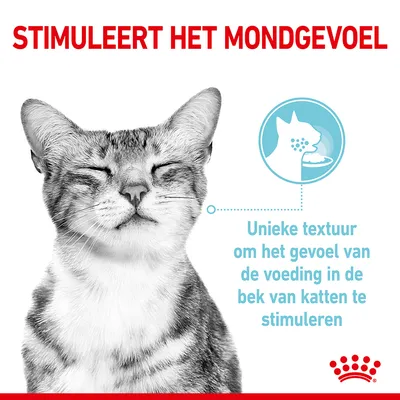 STIMULEERT HET MONDGEVOEL. Unieke textuur om het gevoel van de voeding in de bek van katten te stimuleren.