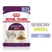 Royal Canin Sensory Smell in Jelly